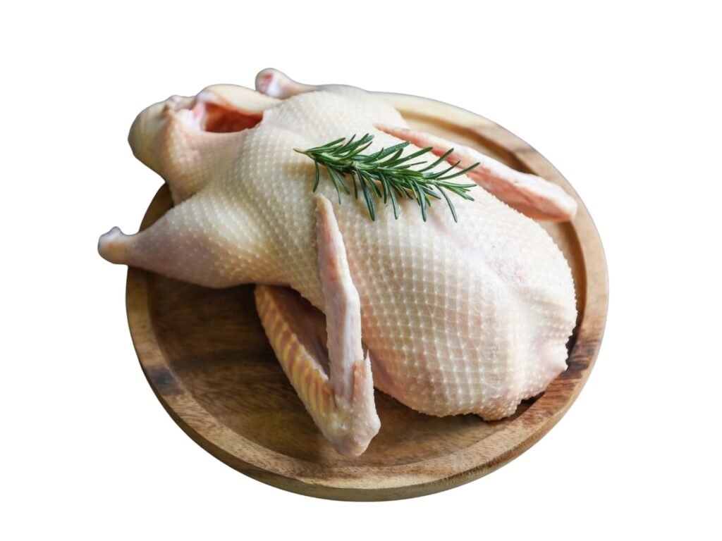 Duck Meat