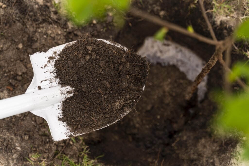 Duck droppings manure on a spade