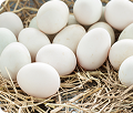 Duck Eggs